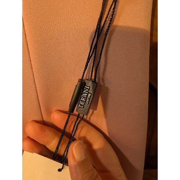 TERANI COUTURE womans pink rose size 2 floor length dress NWT BridalParty Formal - Picture 7 of 9